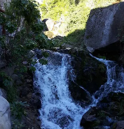 招待所 杜尔梅兹旅馆 内索